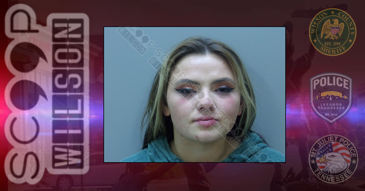 DUI: Woman says husband’s “hand on her leg” caused her to swerve on the road — Hayleigh ‘Marge’ Ribbons
